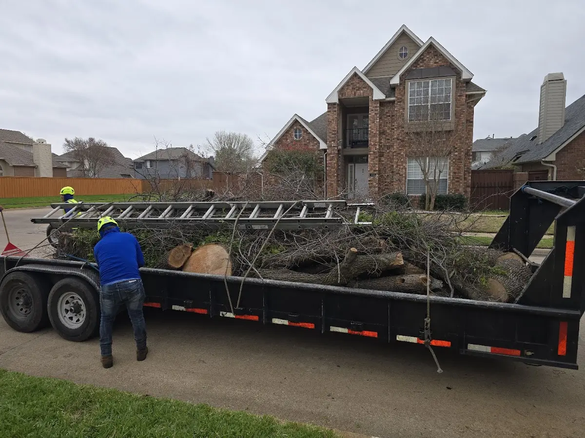 Expert Tree Removal with proper safety equipment in Pontiac